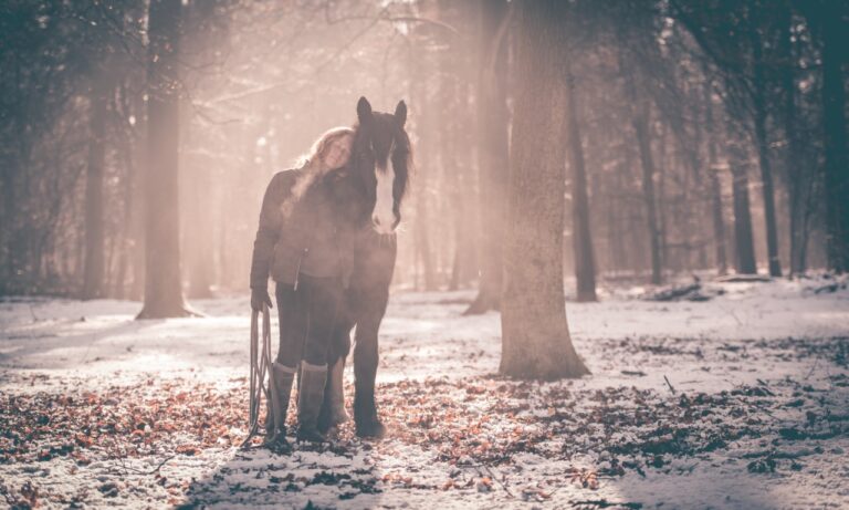Paardencoach Wendy Van de Velde | Rebels & Heroes