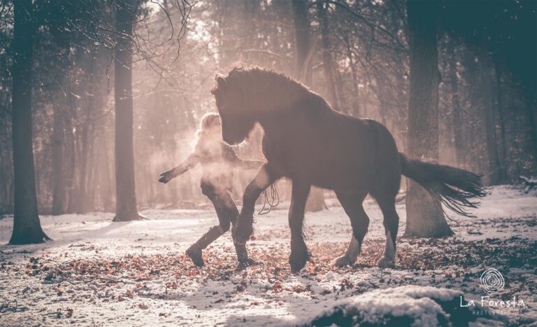 Paardencoach Wendy Van de Velde | Rebels & Heroes